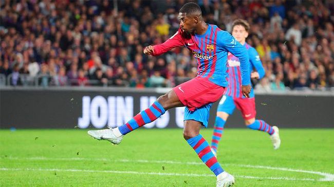 大咪咪娱乐