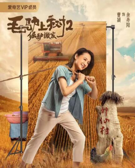 免费高清毛片在线播放视频