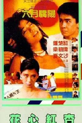 性欧美xo视频在线观看