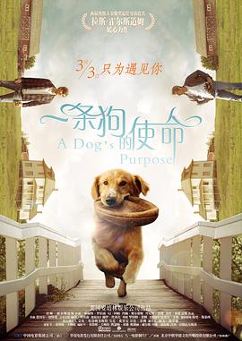 在线色资源