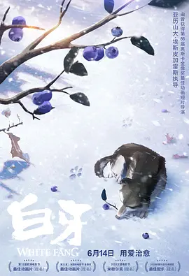 国产高清在线精品一区二区