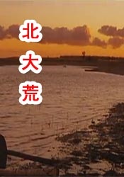 99久久99久久精品国产片果冻