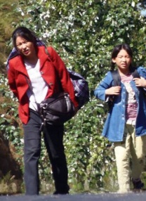 成人欧美视频在线观看