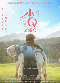 没有很爱老公但爱当娇妻