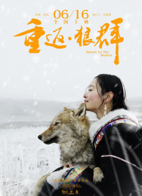 中文字幕中出在线