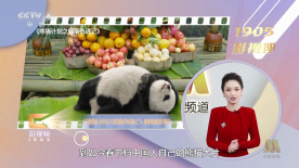 91av影视